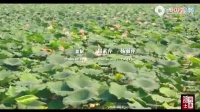 河南省豫剧三团古装剧电影《香魂女》