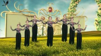 广场舞《一晃就老了》动感欢快舞美好学原创教学下载