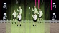 DJ广场舞《野味混合》旋律动感优美大方