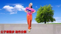 广场舞《公子请留步》口令动作分解教学 舞