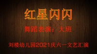 幼儿舞蹈《红星闪闪》
