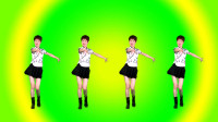 DJ流行广场舞《傻女人》32步简单大方越跳越
