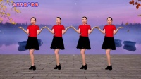 广场舞《爱的太痴迷伤的太彻底》32步附分解