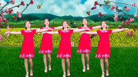 广场舞《花儿枯萎蝶儿飞》简单好看原创附教