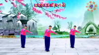 广场舞《你是我的解药》