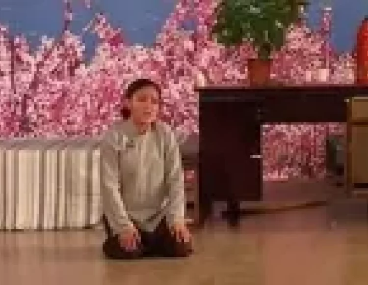 二人台《养儿全是白眼狼》二后生 小燕子等