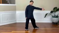 杨军老年杨氏太极拳26式 教学下集下载