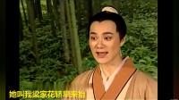 黄梅戏选段《刘跃进个唱专辑》（2）