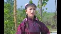 庐剧《嫁小叔不怕死》宽屏版 3