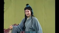庐剧《四姐下凡》宽屏版 1