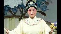 庐剧《追婚记》宽屏版 1