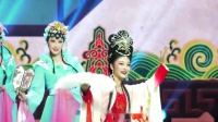 庐剧《观画》宽屏版