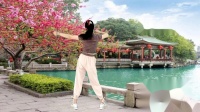 中老年人健身操《心中的妈妈》轻松排毒背面演示下载
