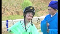 庐剧《人间真爱姐弟情》宽屏版 3