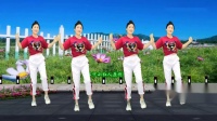 广场舞《二十年》人生有多少个20年 请珍惜