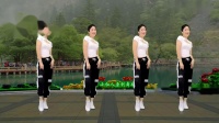 广场舞《向天再赌五毛钱》动感舞蹈霸气豪迈