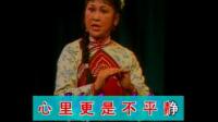 沪剧《杨三姐告状》