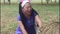 民间小调《苦女采桑》人善被人欺 少有好婆