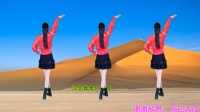 动感DJ健身舞《热情的沙漠》演示分解