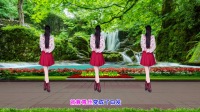 唯美DJ广场舞《小花》演示分解 好学好看