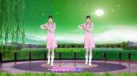 DJ广场舞《想你的夜晚》32步附教学