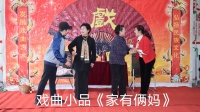 家有俩妈下载