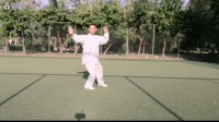 杨氏杨健候传统太极拳 第五代金秋下载