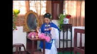 庐剧《罗衫血冤记又名妈苦儿更苦》共六集