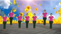 DJ广场舞《人生何处步相逢》零基础教学 简