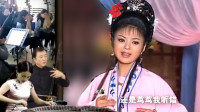 黄梅戏《跳粉墙》老身敬你一杯酒 全家之人