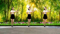 广场舞《对你犯了错》动感好看附教学