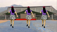 广场舞《完美人生》背面演示方便初学者