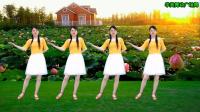 广场舞《为什么变了心》