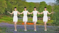 广场舞《真的真的好想你》美美的歌伴舞 送