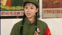 庐剧现代戏《女儿告妈妈》选段：总六集