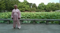 宋旭升太极传统杨式85式太极拳下载
