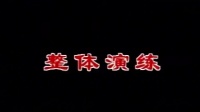吴式八十三式太极拳全套演练下载