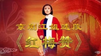 京剧《江姐 红梅赞》 甜歌