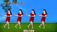 广场舞《为什么为什么》