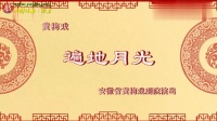 黄梅戏《遍地月光》下载
