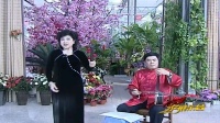 河南坠子《香港为什么这么香》
