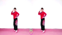 辣妈红莲广场舞《有一种思念叫永不疲》