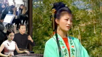 黄梅戏《夺锦楼》选段 表兄话语似利箭
