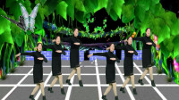 广场舞《心在路上》优美的旋律超好听
