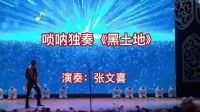 唢呐独奏《黑土地》演奏 张文喜