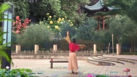 湘姐广场舞《泛水荷塘》 背面