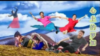 紫海流星广场舞《心上的罗加》
