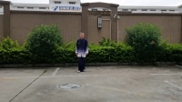 杨式85式太极拳下载