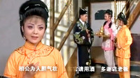 黄梅戏《柳玉娘》2 姑嫂开店无依靠 相公好