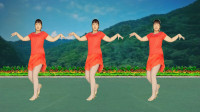 32步广场舞《刘海砍櫵》好听好看